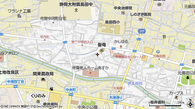 〒427-0041 静岡県島田市中河町の地図