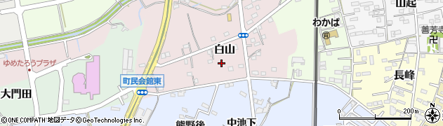 愛知県知多郡武豊町白山周辺の地図