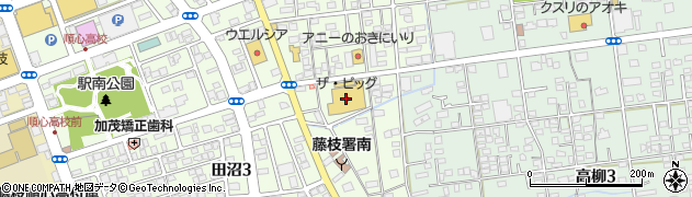 ザ・ビッグ藤枝田沼店周辺の地図