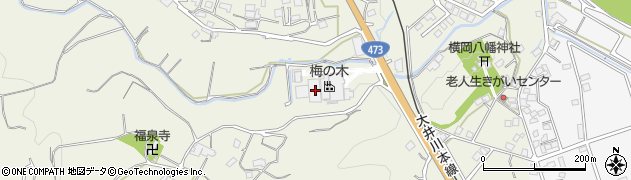 静岡県島田市横岡557周辺の地図