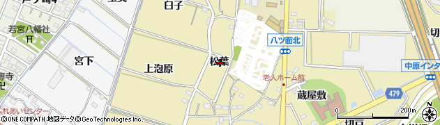 愛知県西尾市八ツ面町松葉周辺の地図