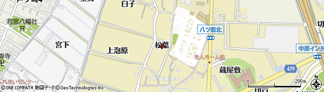 愛知県西尾市八ツ面町（松葉）周辺の地図