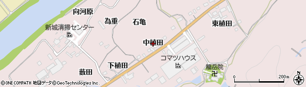 愛知県新城市庭野（中植田）周辺の地図