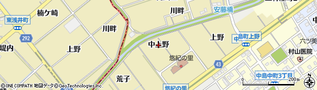 愛知県岡崎市中島町（中上野）周辺の地図