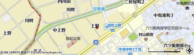 愛知県岡崎市中島町（上野）周辺の地図