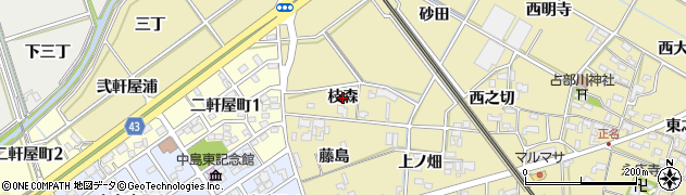 愛知県岡崎市正名町（枝森）周辺の地図