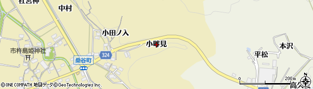 愛知県岡崎市桑谷町（小畔見）周辺の地図