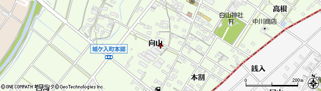 愛知県安城市城ケ入町向山19周辺の地図