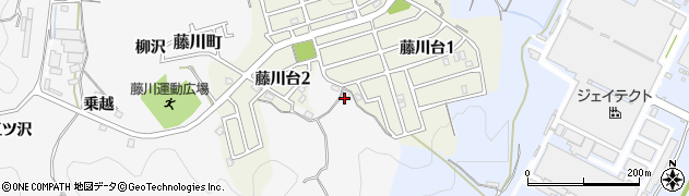 愛知県岡崎市藤川町（清水ケ入）周辺の地図