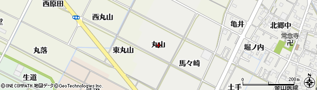 愛知県岡崎市野畑町（丸山）周辺の地図