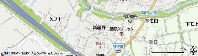 愛知県岡崎市樫山町（新居野）周辺の地図