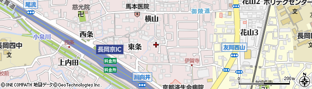 京都府長岡京市下海印寺東条周辺の地図