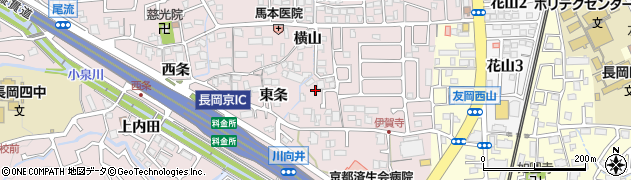 京都府長岡京市下海印寺（東条）周辺の地図
