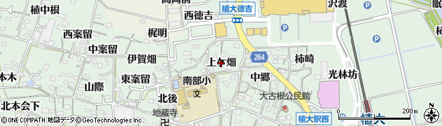 愛知県阿久比町（知多郡）植大（上ケ畑）周辺の地図