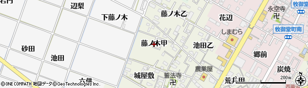 愛知県岡崎市土井町（藤ノ木甲）周辺の地図