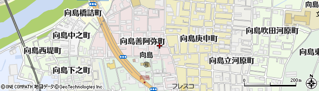 京都府京都市伏見区向島善阿弥町21周辺の地図