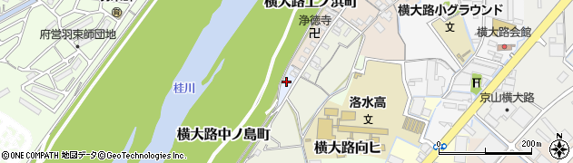 京都府京都市伏見区横大路中ノ島町周辺の地図