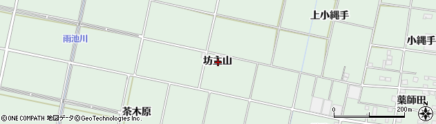 愛知県安城市桜井町坊主山周辺の地図