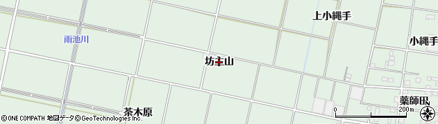 愛知県安城市桜井町（坊主山）周辺の地図