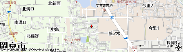 京都府長岡京市うぐいす台137周辺の地図