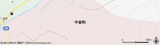 愛知県岡崎市中金町周辺の地図