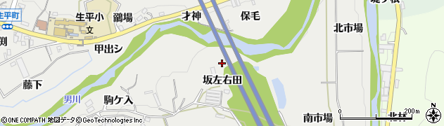 愛知県岡崎市生平町坂左右田周辺の地図