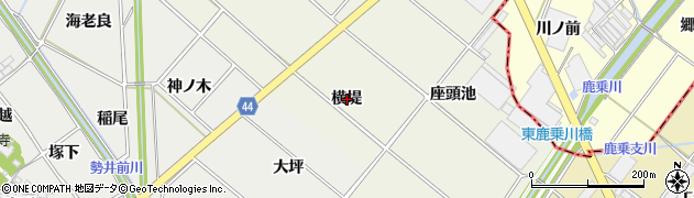愛知県安城市安城町（横堤）周辺の地図