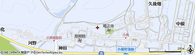 愛知県岡崎市小美町（入山手）周辺の地図