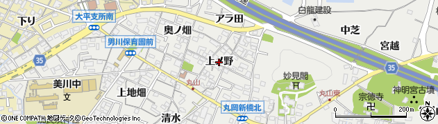 愛知県岡崎市丸山町（上ノ野）周辺の地図