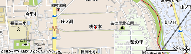 京都府長岡京市今里（桃ケ本）周辺の地図