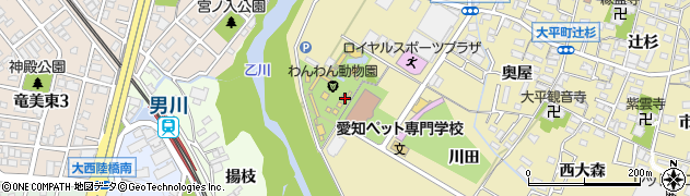 愛知県岡崎市大平町石亀18周辺の地図