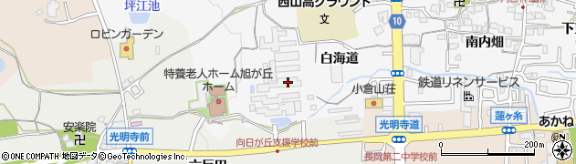 京都府長岡京市井ノ内（朝日寺）周辺の地図