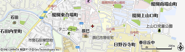 醍醐辰己第二公園周辺の地図