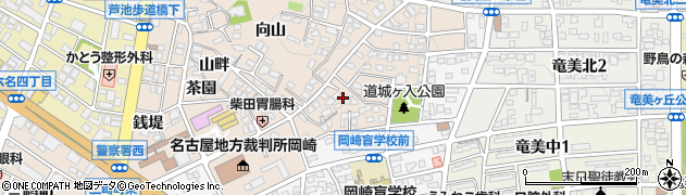 愛知県岡崎市明大寺町（道城ケ入）周辺の地図