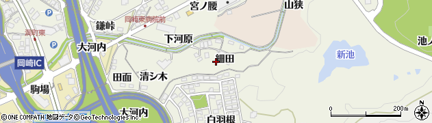 愛知県岡崎市洞町（細田）周辺の地図