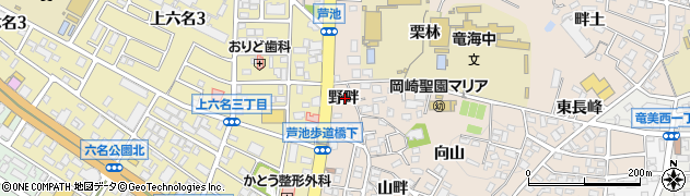 愛知県岡崎市明大寺町（野畔）周辺の地図