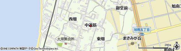 愛知県知多市大草（中道筋）周辺の地図