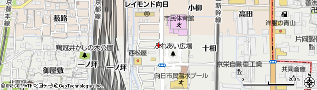 京都府向日市鶏冠井町（十相）周辺の地図