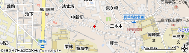 愛知県岡崎市明大寺町（南山新切）周辺の地図