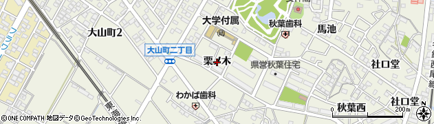 愛知県安城市安城町（栗ノ木）周辺の地図