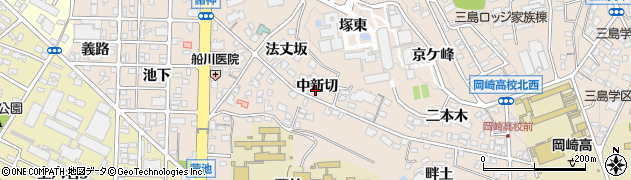 愛知県岡崎市明大寺町（中新切）周辺の地図