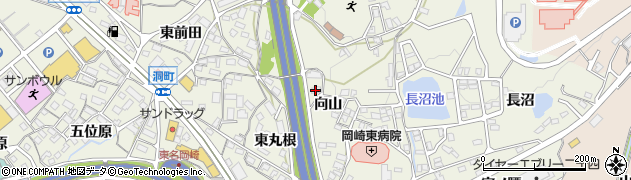 愛知県岡崎市洞町（向山）周辺の地図