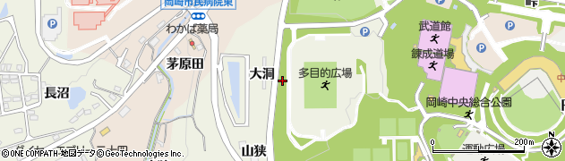 愛知県岡崎市洞町（大洞）周辺の地図