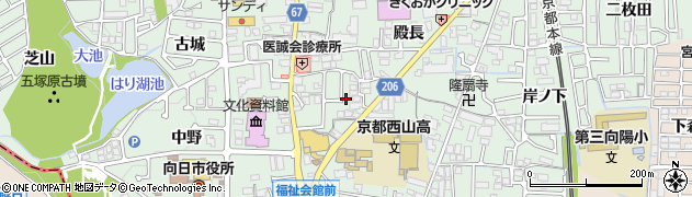 京都府向日市寺戸町（辰巳）周辺の地図