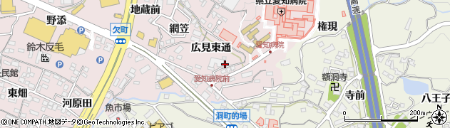 愛知県岡崎市欠町（広見東通）周辺の地図