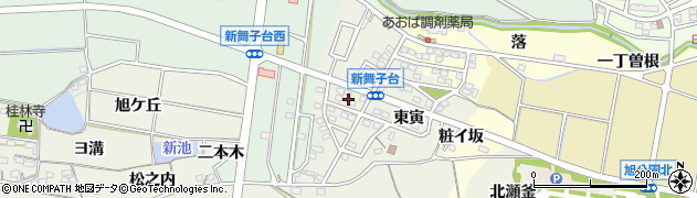 愛知県知多市金沢（西寅）周辺の地図