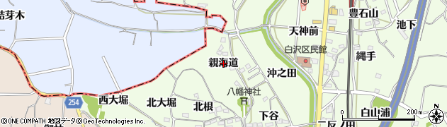 愛知県阿久比町（知多郡）白沢（親海道）周辺の地図
