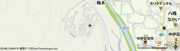 静岡県伊豆市梅木173周辺の地図