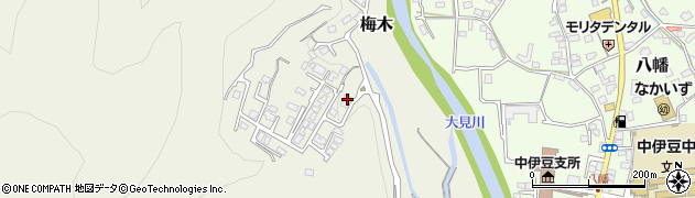 静岡県伊豆市梅木173-5周辺の地図