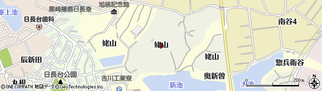 愛知県知多市大興寺（姥山）周辺の地図